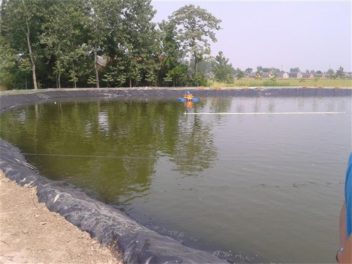 魚(yú)塘防滲膜